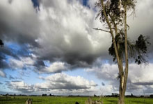 探索海南天涯论坛网址的小秘密，一起来唠叨唠叨这个有趣的地方吧！我记得第一次偶然点进去的时候，就感觉像回家一样亲切。