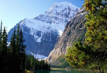 探索泉州天涯论坛的乐趣 - 当地交流的热门天地 (48字)