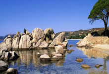 探索海南天涯论坛网址的小秘密，一起来唠叨唠叨这个有趣的地方吧！我记得第一次偶然点进去的时候，就感觉像回家一样亲切。